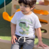 Ensemble Été - T-shirt Blanc "Dino" et Short Gris